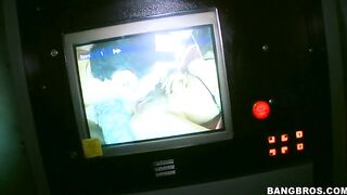 Two busty bitches Phoenix Marie and Tanya Tate sucking down Bruno at the pornshop