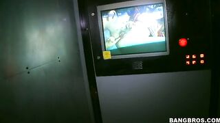 Two busty bitches Phoenix Marie and Tanya Tate sucking down Bruno at the pornshop