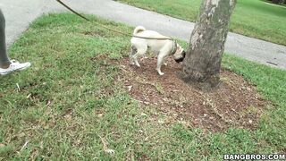 Big ass brunette Diamond Kitty flashes her booty in public